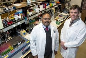 University of Montana Researchers Receive Grant to Study Traumatic Brain Injury