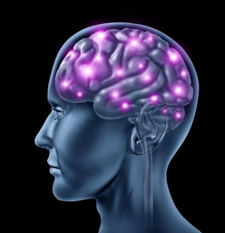 Molecular Substance Found to Reduce Post-Stroke Brain Damage, Improve Recovery