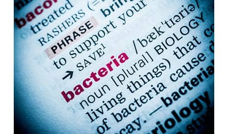 Physical Activity May Help Lower the Risk of Bacterial Infection