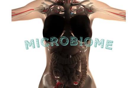 Improve Stroke Recovery Via the Gut Microbiome, Study Suggests