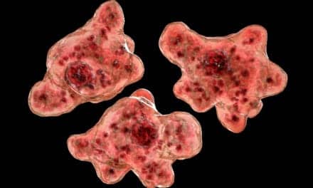 Neuro Nightmare: Brain-Eating Amoeba Found in Fresh Water