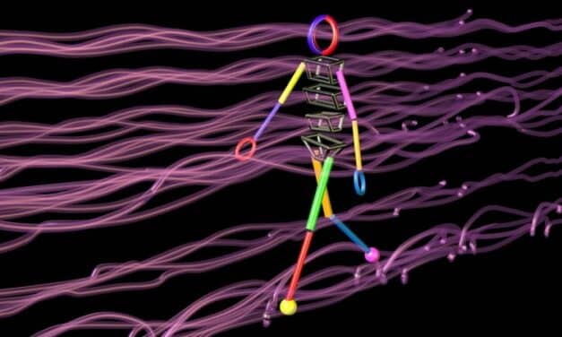 There Is No ‘One-Size-Fits-All’ Gait Strategy for People with Parkinson’s, Researchers Say