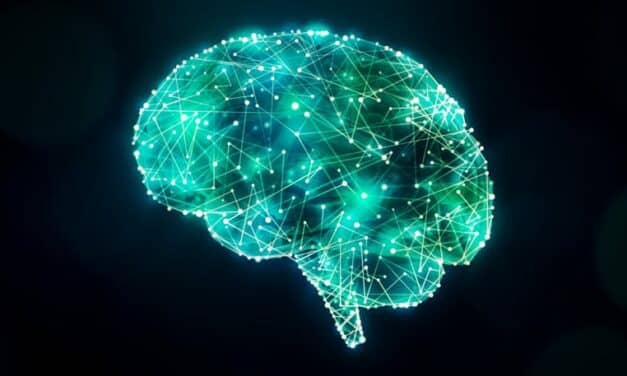 Three Distinct Brain Circuits in the Thalamus Contribute to Parkinson’s Symptoms