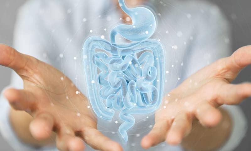 Research Reveals How Gut Microbiota Imbalance Can Lead to Parkinson’s Disease