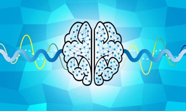 Brain Wave Readings Key to Detecting Concussions, Study Notes