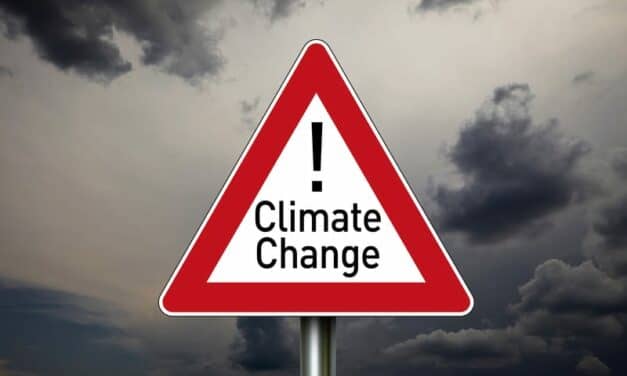 Are Climate Change and Air Pollution Making Neurologic Disease Worse?