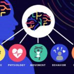 Mind-Body Connection Built Into Brain