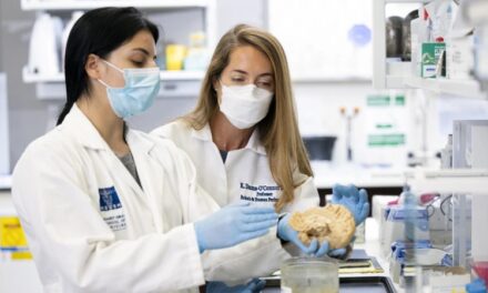 Study: CTE Rare in Individuals With Isolated Brain Injuries